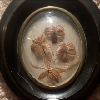 French 1890 mourning hair clovers keepsake Deep Wood & brass Frame under Glass