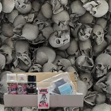 Hydro Dipping Kit- 3D Skulls Film, Activator, Paints