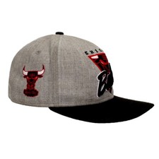 Chicago Bulls NBA Snapback Cap Hat Youths OSFM New Era Gray