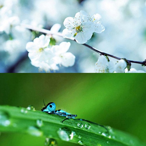2 In 1 Mobile Phone Lens 0.45x Super Wide Angle 10x Macro HD Camera Lens _ou - Zdjęcie 5 z 11