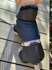 Hunde Schneeanzug Overall XS Rl:25-27cm Umfang bis 37cm Kl.Chihuahua,Yorkshire