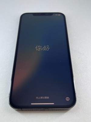 Apple iPhone 12 Pro Max - 128 GB - Graphite (Unlocked) *READ DESCRIPTION*