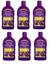 6 x Eazifeed Feed For Hanging Baskets & Tubs - 500ml, plant food 4.33 per litre