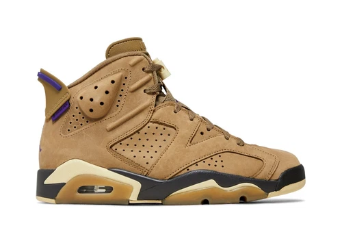 Air Jordan Wmns Air Jordan 6 Retro GORE-TEX 'Brown Kelp' FD1643-300 Shoes