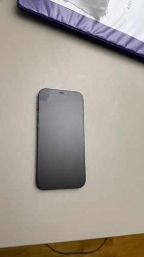 Apple iPhone 12 Pro Max - 128 GB - Pacific Blue (Unlocked) with Box & Headphones - Afbeelding 16 van 20