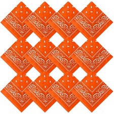 Suhine 12 Pcs Bandanas Bulk for Women Men 22 x 22 Inch Paisley Headband Cowbo...
