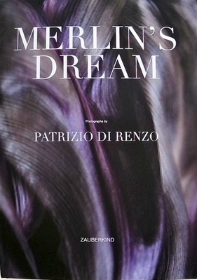 Merlin's Dream Patrizio Di Renzo DiRenzo, Patrizio und Patrizio DiRenzo:
