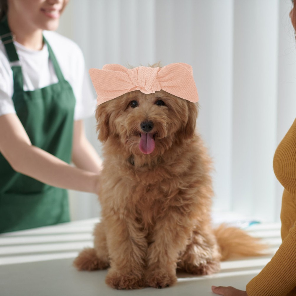 Fascia per Cani - 2 Pezzi di Accessori per Cuccioli foto 5