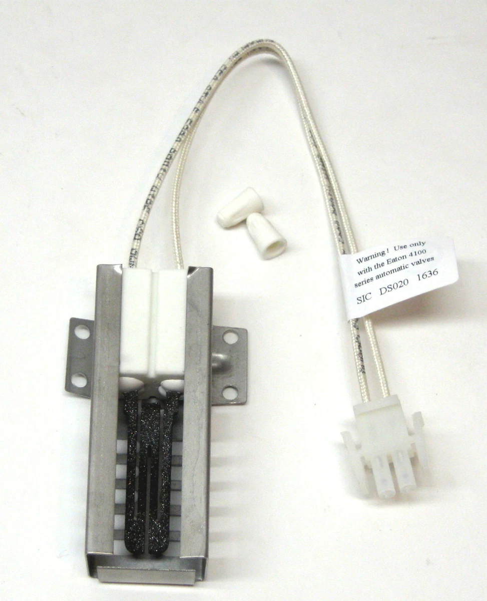 Ignitor on sale vs igniter