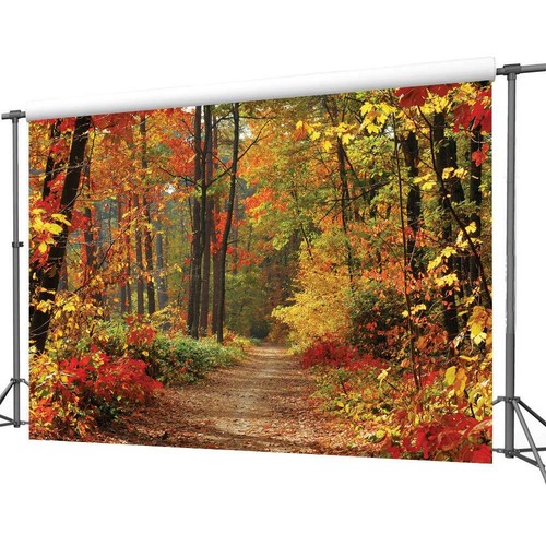 Autumn Scenery Deciduous Background 7x5ft Vinyl Deciduous Mountain Road Photo... - Picture 4 of 8