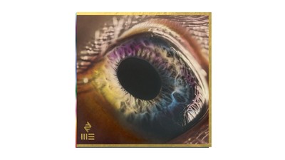 Arcade Fire WE (Vinyl) 12'' Album (Gatefold Cover)