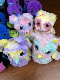 Lot of 31 Chattering Interactive Hatchimals -For a Wicked Office RTO Prank? READ