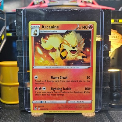 Arcanine Silver Tempest Pokémon TCG 020/195 Sword & Shield SWSH12 Rare