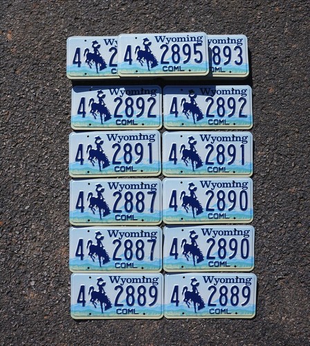 2001 Wyoming COWBOY License Plate - LOT OF 20