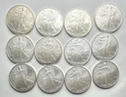 2007 American Silver Eagle 12 Coin Tube Lot 1 oz .999 Fine Silver BU Roll