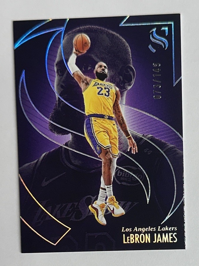 2024-25 Panini Silhouettes LeBron James 073/149 #20