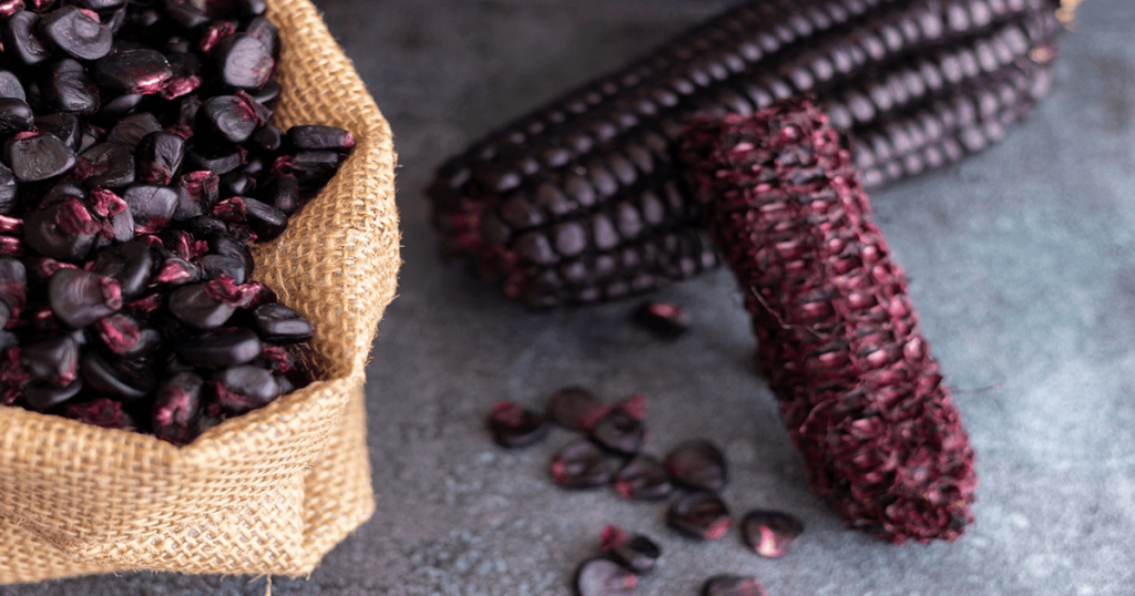 20 Pesos Mexico Oro 50 Semillas De Ma&iacute;z Morado Peruano Ornamental (Azteco) - Variedad Rara De Color Negro/p&uacute;rpura, Ideal Para Jard&iacute;n Semillas Ma&iacute;z Negro Ornamental