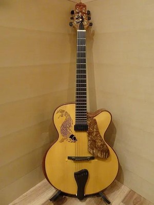 Oracle of Guitars Burl Maple BenedettoPU | eBay