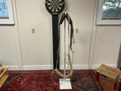 Pessoa Lunging System