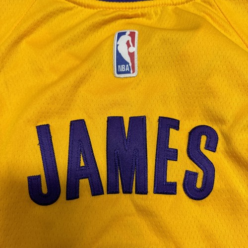 LA Lakers Jersey Lebron James # 6 Nike Wish NBA Swingman Jersey Sz 50 - Picture 14 of 15