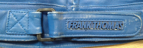 Frank Thomas Motorcycle Biker Leather Jacket Armasport Blue White Red Size 38 - Picture 8 of 16