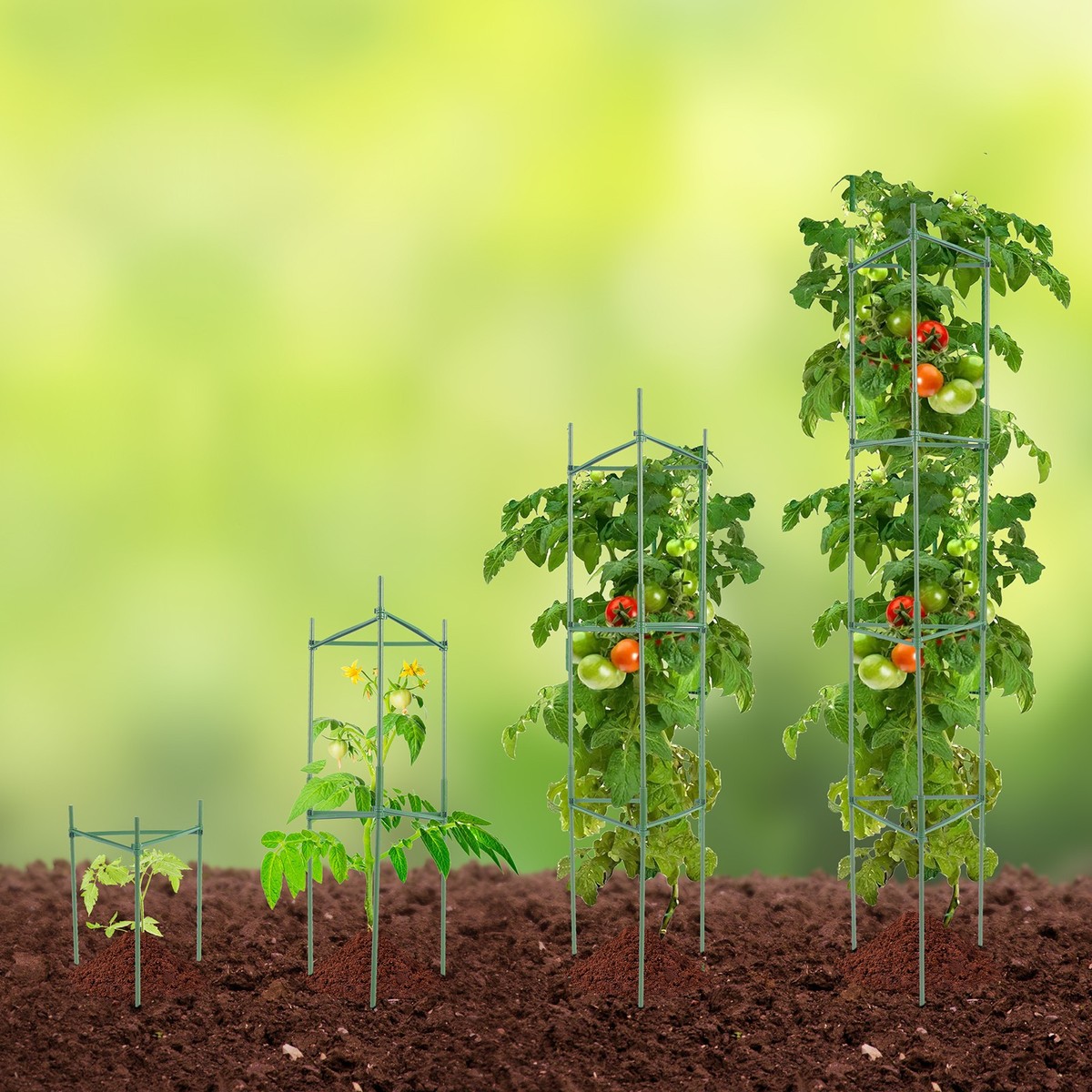 6 Packs Tomato Cages for Garden 48