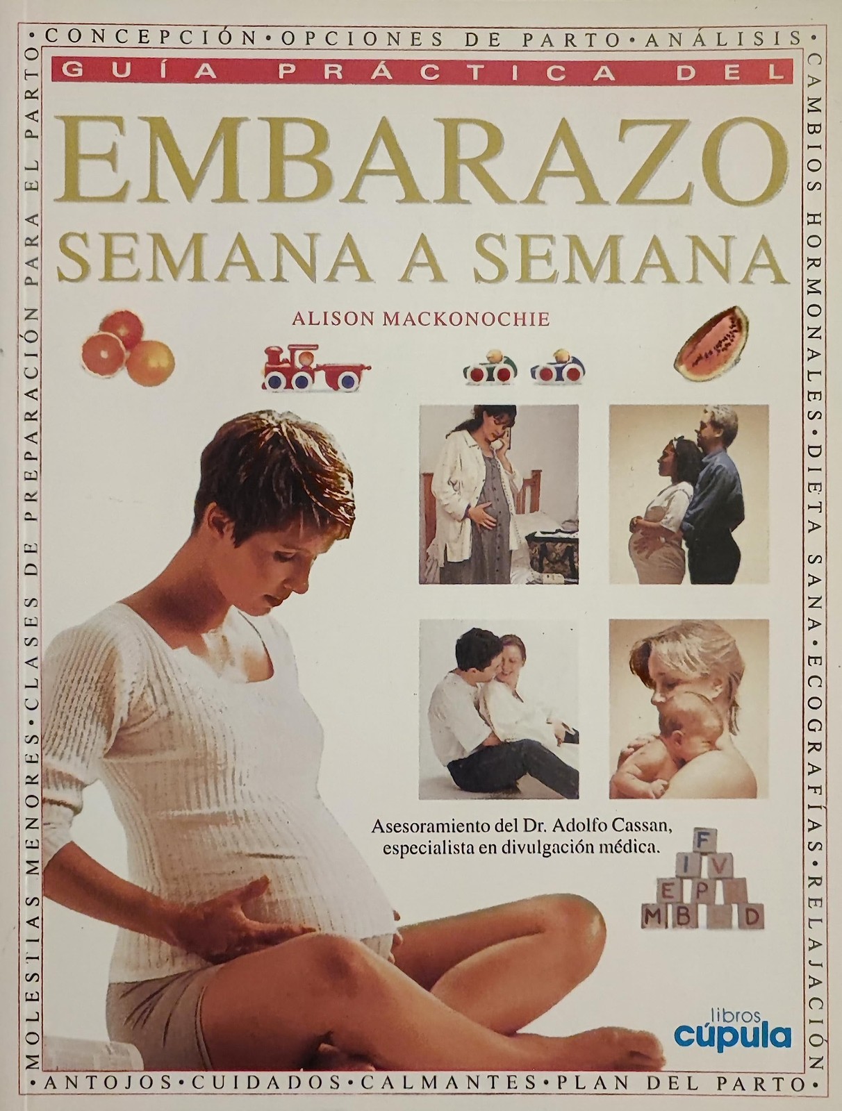 Imagen 1 de 1
