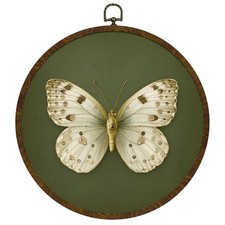 White Butterfly Round Wall Art, Vintage Moth Framed Canvas Green-Butterfly02
