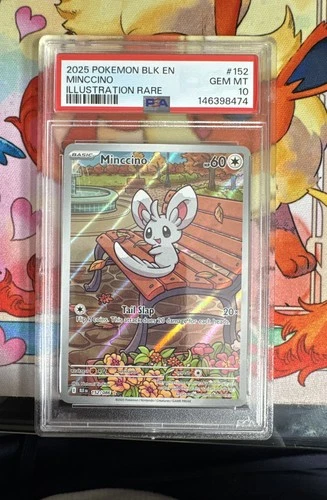 Minccino 152/086 PSA 10 Illustration Rare Black Bolt Gem Mint Pokemon