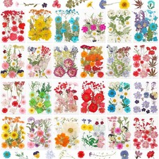 NESCCI 428 Pcs Dried Pressed Flowers for Resin,Real Various Colors 428 Pcs