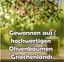 Bild 6 von 6