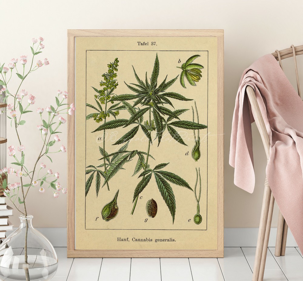 Weed Art Cannabis Poster Stoner Gift Marijuana Poster Cannabis Wall Art