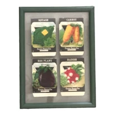 Vintage Seed Packets 4 Card Seed Co Fredonia NY Beautiful Color Custom Framed
