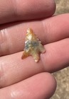 Collector Grade Translucent Agate Corner Notched  Arrowhead (Documented) — photo 2