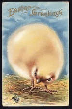EASTER GREETINGS * Large Fluffy Chick looking at fly * Embossed not posted