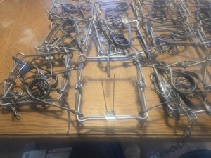 1 dozen Bridger 155 Body Grip Traps Muskrat 