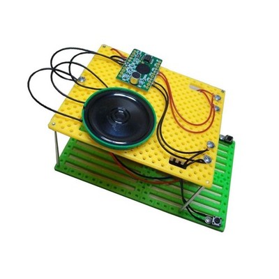 DIY Elektro Recorder Kit Physik Schaltkreis Wissenschaft Lernen