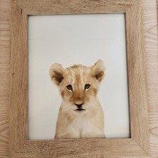Room Essentials Alabaster Oak Frame w/ Baby Lion Cub Art