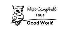 Custom Designer Teacher Says Good Work with owl logo Self Inking Teacher Stamp