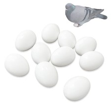 Solid Fake Eggs Dummy Pigeon Eggs for Guiding Racing Pigeons, Doves to Hatch ...