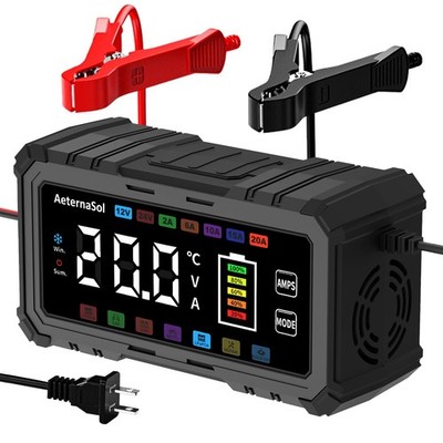 Smart Car Battery Charger 20A 12V 24V LiFePO4 AGM Gel Lead Acid AeternaSol Truck
