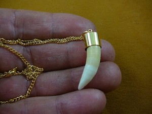Authentic (G168-50) 1-3/8" Alligator gator T**th Gold plated capped pendant necklace