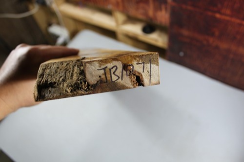 Cuello de guitarra ondulación en blanco madera de alcanfor dorado burl relleno de resina estabilizada - Imagen 7 de 7