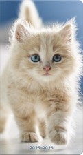 2025-2026 Cuddly Kittens Pocket Planner