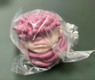 #ad #ad Chainsaw Man Figure Reze Edition Mask Collection Typhoon Devil $57.59