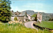 1969 Patterdale Ullswater Lake District England Postcard H Webster Daffodils