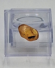 Amber Fossil With Well Visible Inkluse (Approx. 0 5/32in Insect) –