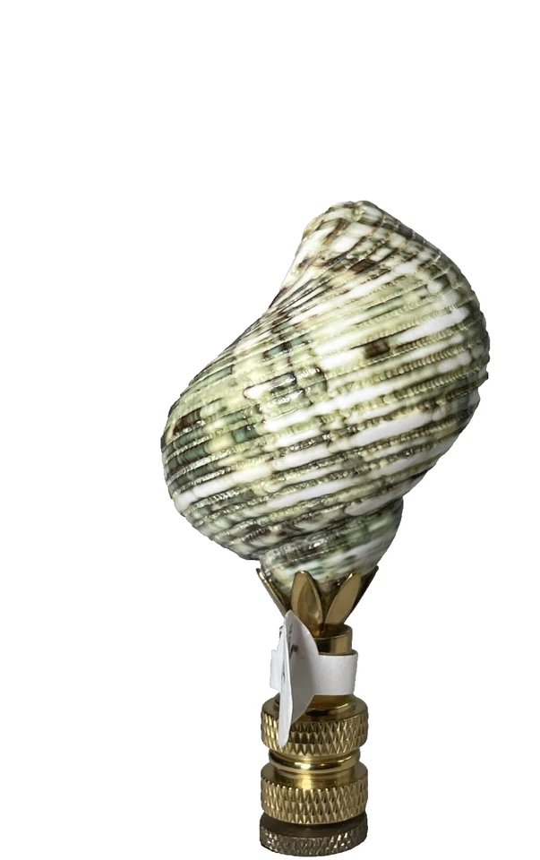 Acabado de pantalla de lámpara costera concha marina verde náutica Foto 3 de 4