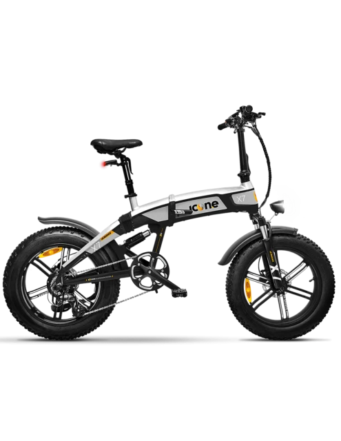 Biciclette argento alluminio