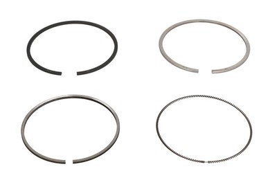 Piston Ring Kit NE 8920190000